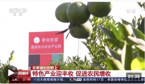 點(diǎn)擊觀看視頻 點(diǎn)擊觀看視頻