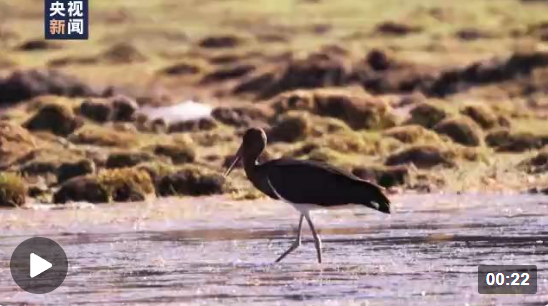 企業(yè)微信截圖_16661507342299 企業(yè)微信截圖_16661507342299