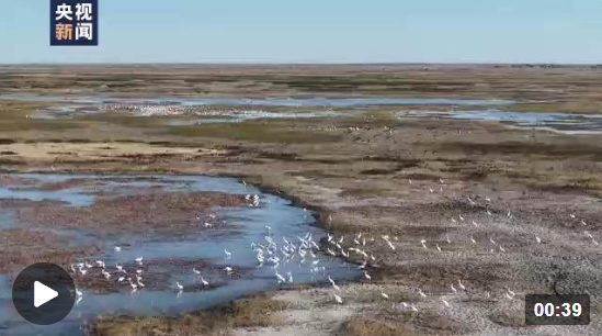 企業(yè)微信截圖_16661507453468 企業(yè)微信截圖_16661507453468