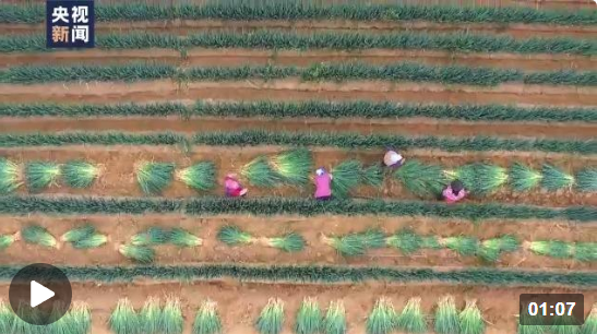 企業(yè)微信截圖_16661510033935