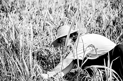 看我們這十年的青春實踐手記——思政實踐課見證奮進(jìn)新時代