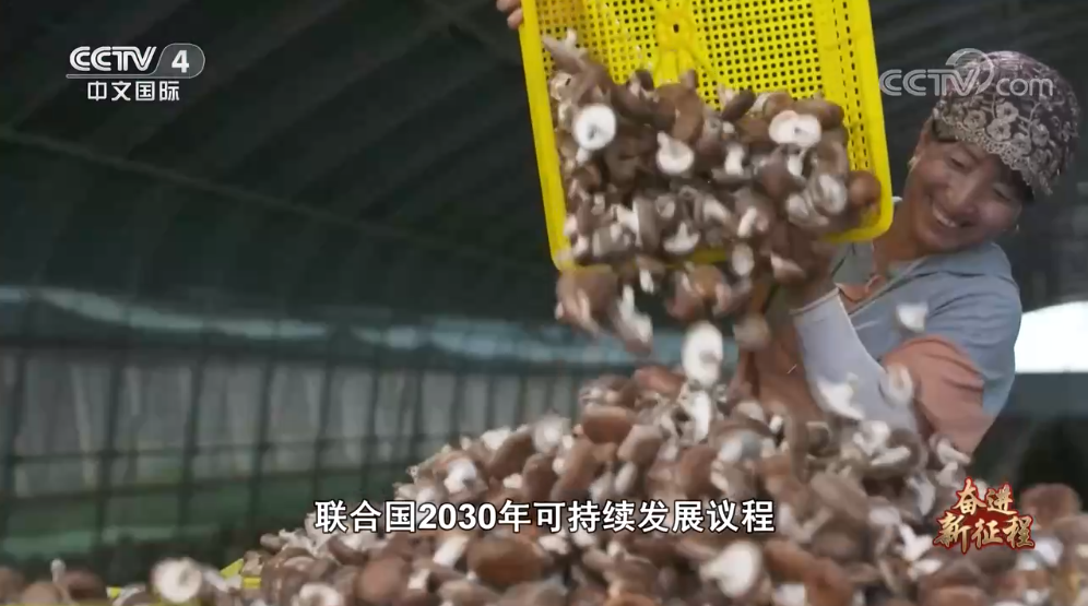 點(diǎn)擊觀看視頻