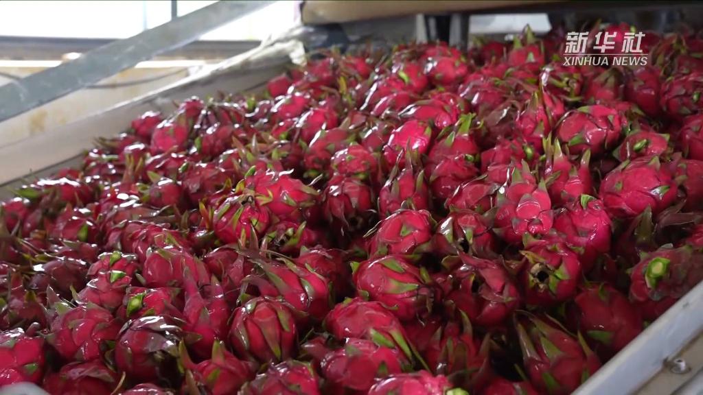 1129070817_16661639654361n 1129070817_16661639654361n