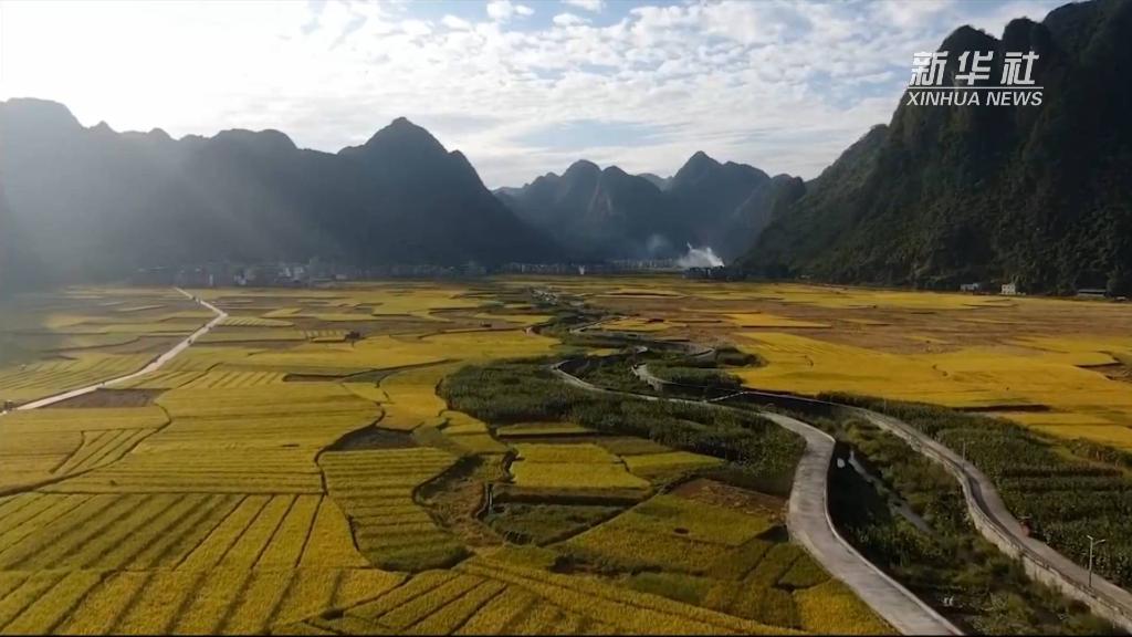 1129070817_16661639654341n 1129070817_16661639654341n