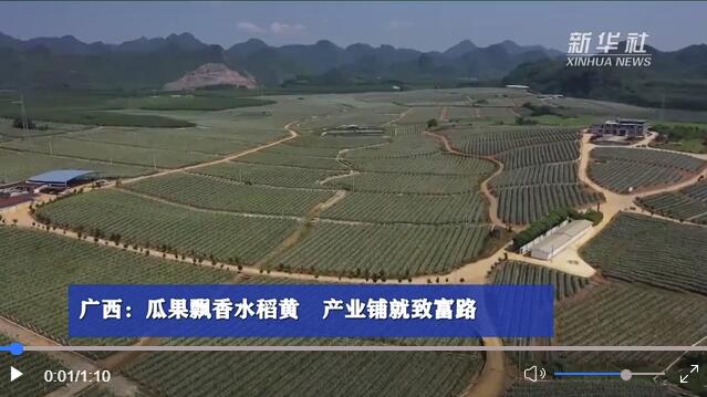 QQ截圖20221019205400