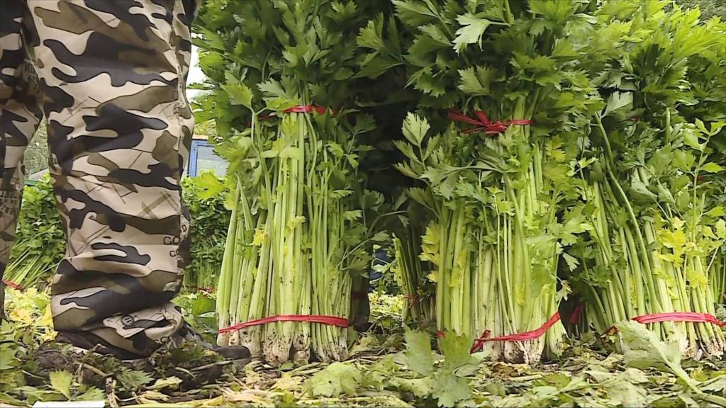 1129070914_16661658903661n 1129070914_16661658903661n