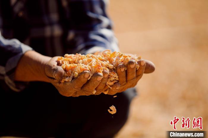 漁民正在晾曬海米?！∷文晟?攝