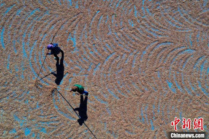 為延長海貨銷售鏈和保質(zhì)期，漁民們將適合風(fēng)干保存的海貨進(jìn)行晾曬保存。(無人機(jī)照片) 于坤帥 攝