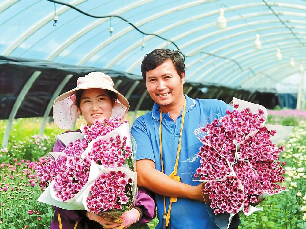 豐收的笑臉 豐收的笑臉