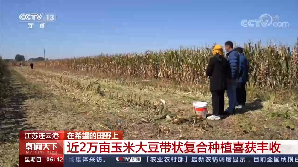 點(diǎn)擊觀看視頻 點(diǎn)擊觀看視頻