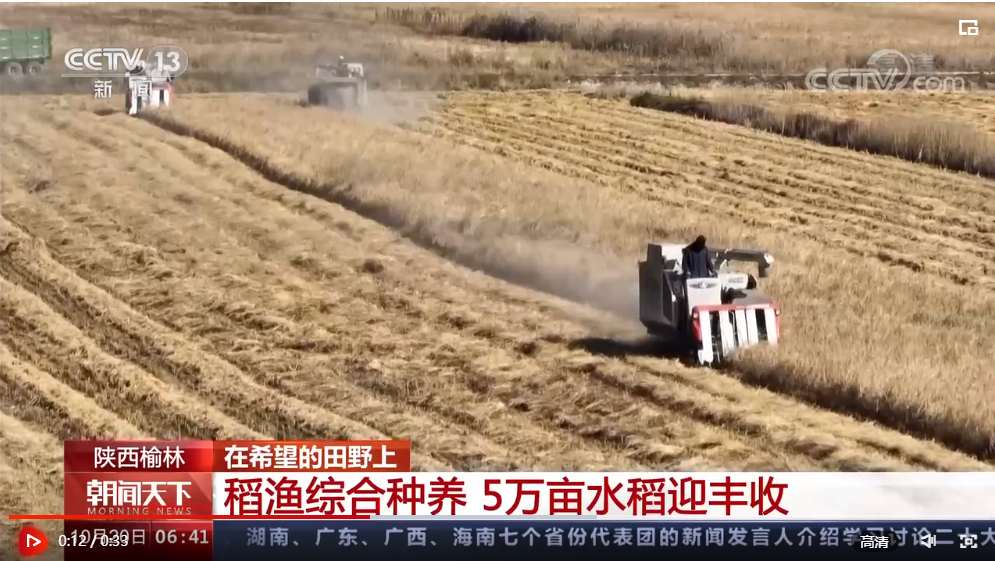 點(diǎn)擊觀看視頻 點(diǎn)擊觀看視頻