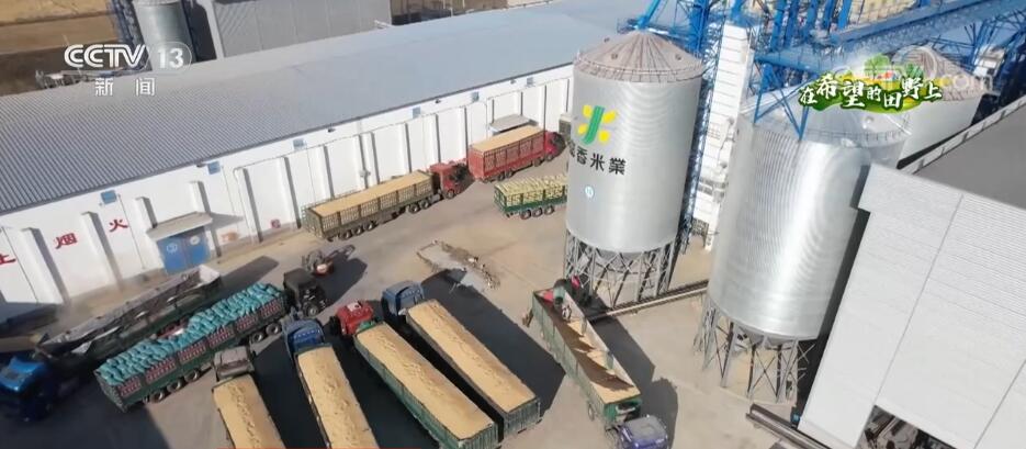 2022102008563614545 2022102008563614545