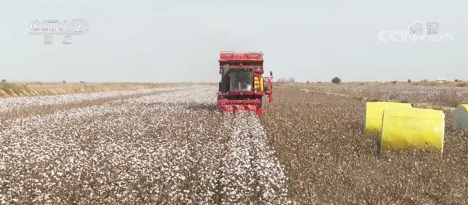 2022102009001510558 2022102009001510558