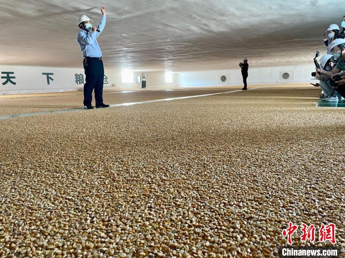 圖為廣西糧食倉儲。　黃令妍 攝