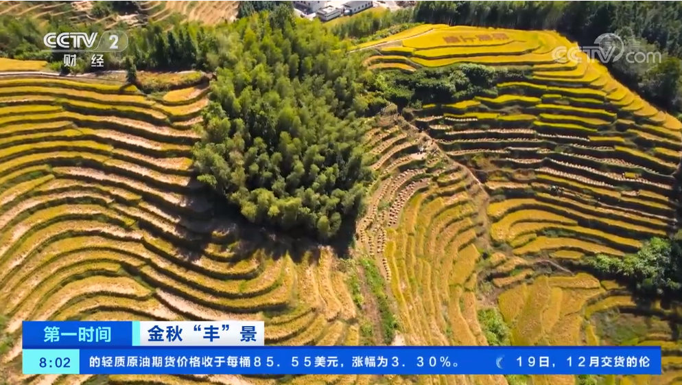 點(diǎn)擊觀看視頻