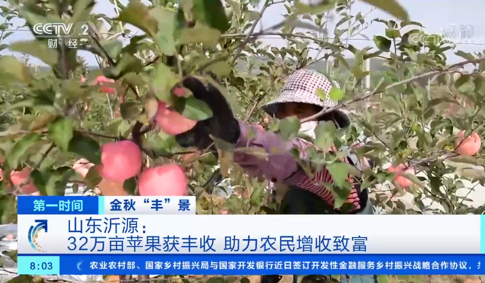 點(diǎn)擊觀看視頻