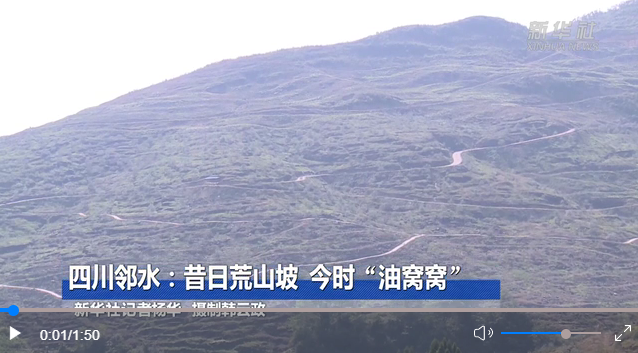 微信截圖_20221020203759