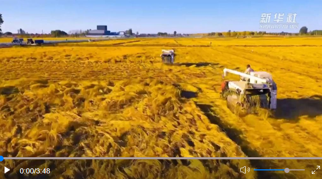 微信截圖_20221020203927 微信截圖_20221020203927