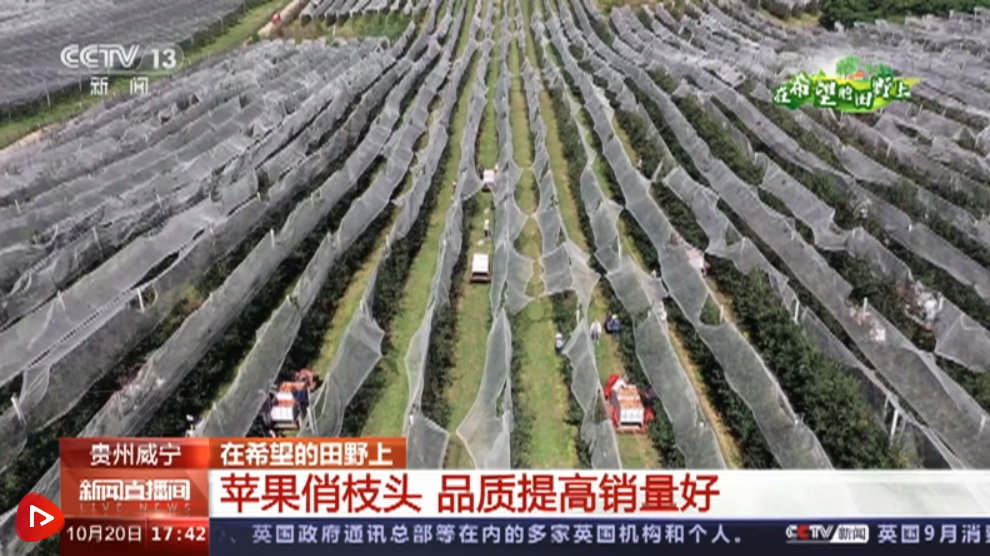 微信截圖_20221020205251