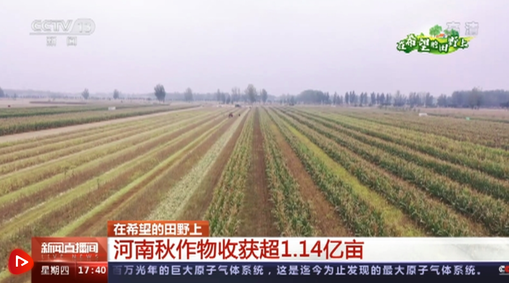 微信截圖_20221020205408