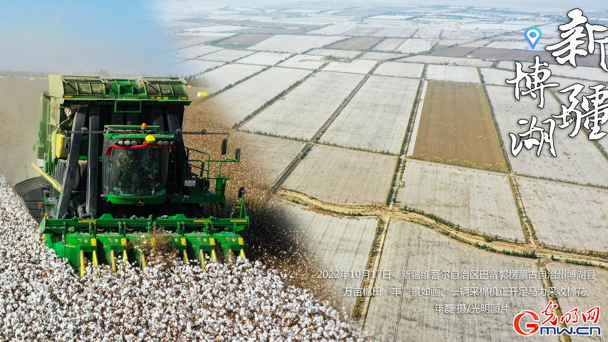 海報丨機采率達80% 7000余臺采棉機助力新疆棉花機械化采收 海報丨機采率達80% 7000余臺采棉機助力新疆棉花機械化采收