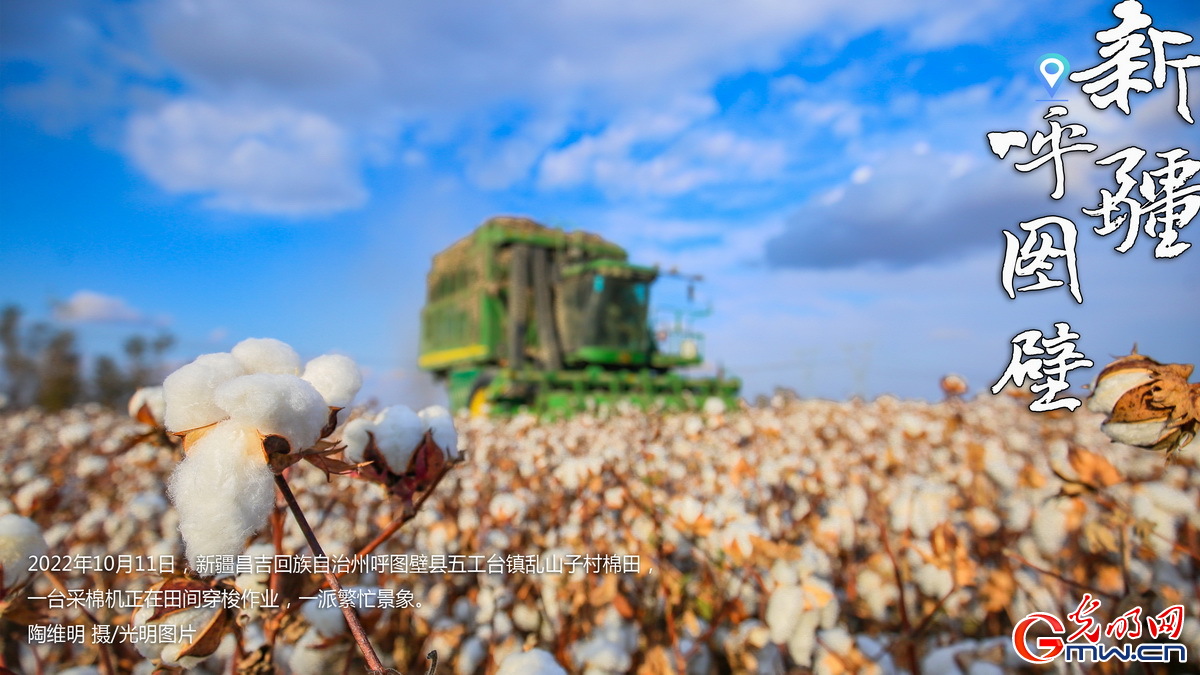 海報丨機采率達80% 7000余臺采棉機助力新疆棉花機械化采收 海報丨機采率達80% 7000余臺采棉機助力新疆棉花機械化采收