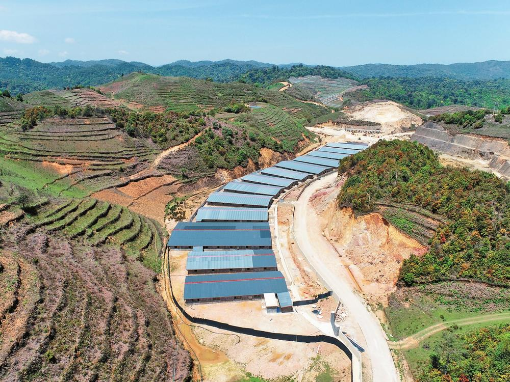 建興鄉(xiāng)生豬養(yǎng)殖基地 供圖