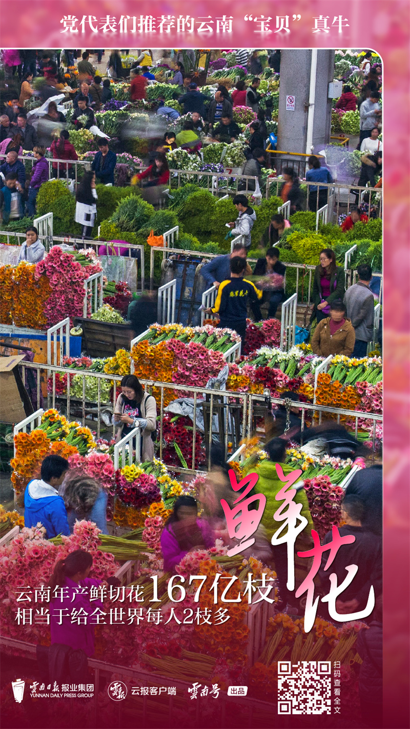 code_ynrb7e349ed6-2d2e-484f-bdb7-61c7bd4f435a