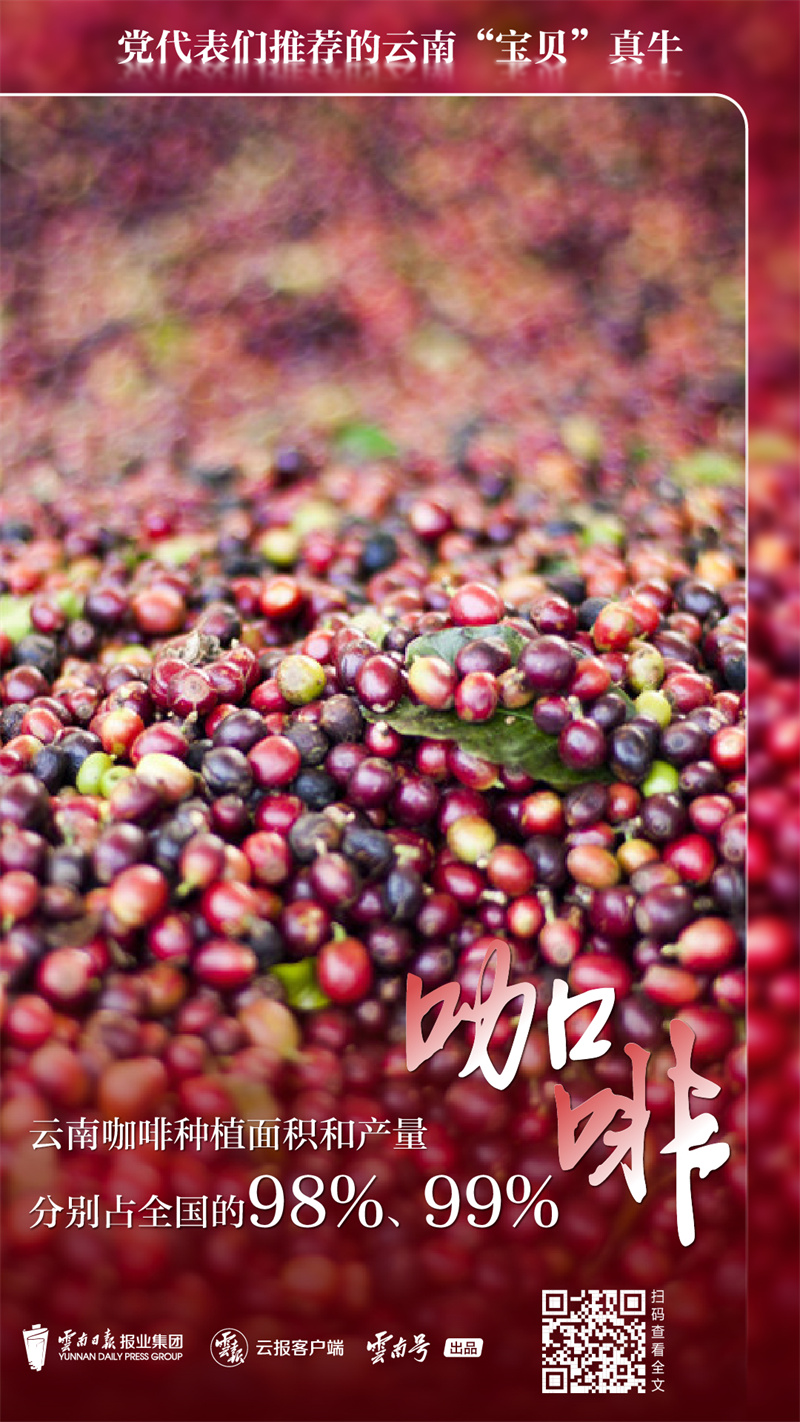 code_ynrb9c26e473-7542-4d76-874f-57b06e369829