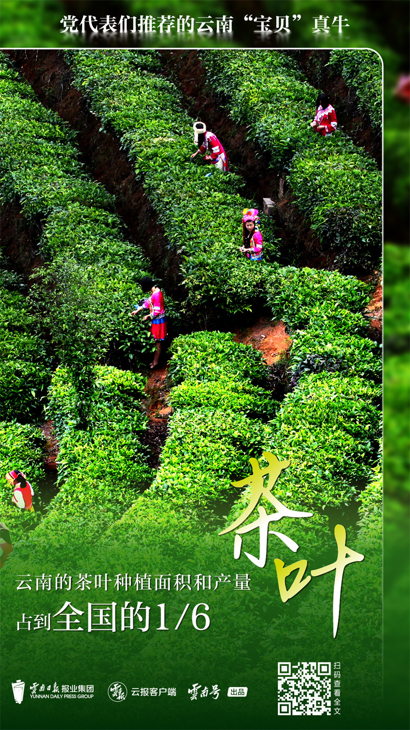 code_ynrb20a4b3d2-187c-4894-a519-897d89a03749