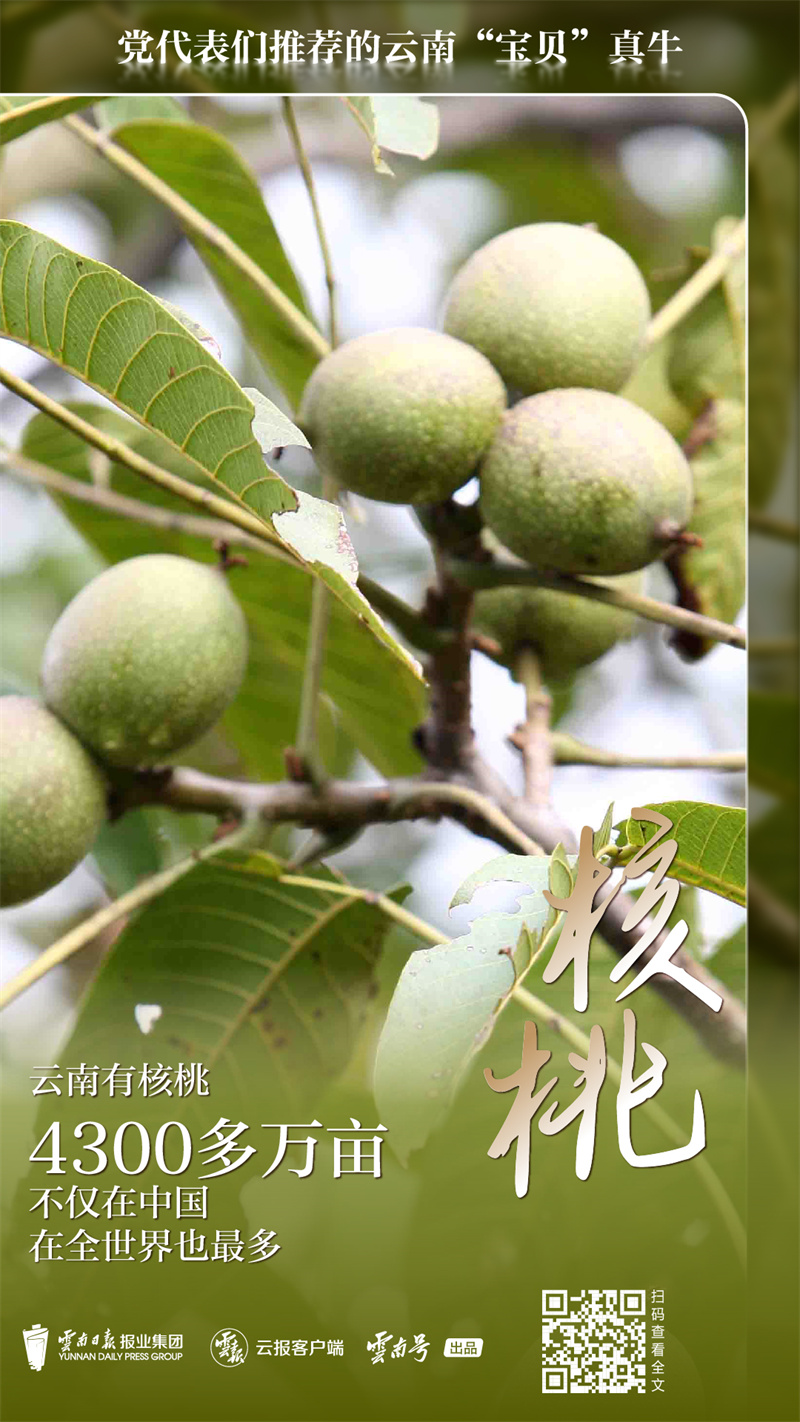 code_ynrb81aab978-0534-4023-be96-1de1f549de66