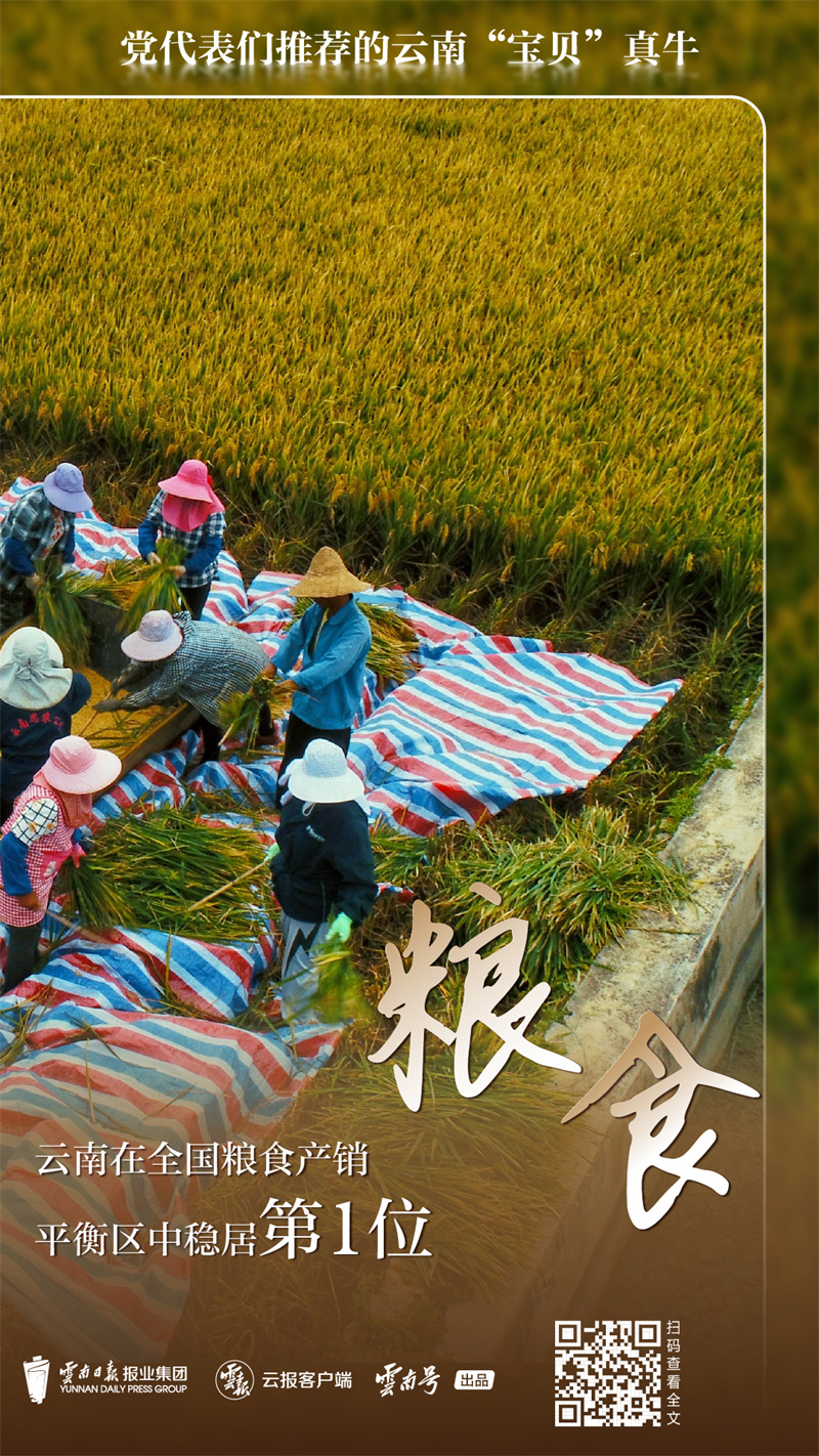 code_ynrb0d838829-910d-4efa-a2cd-b7af2f80f218