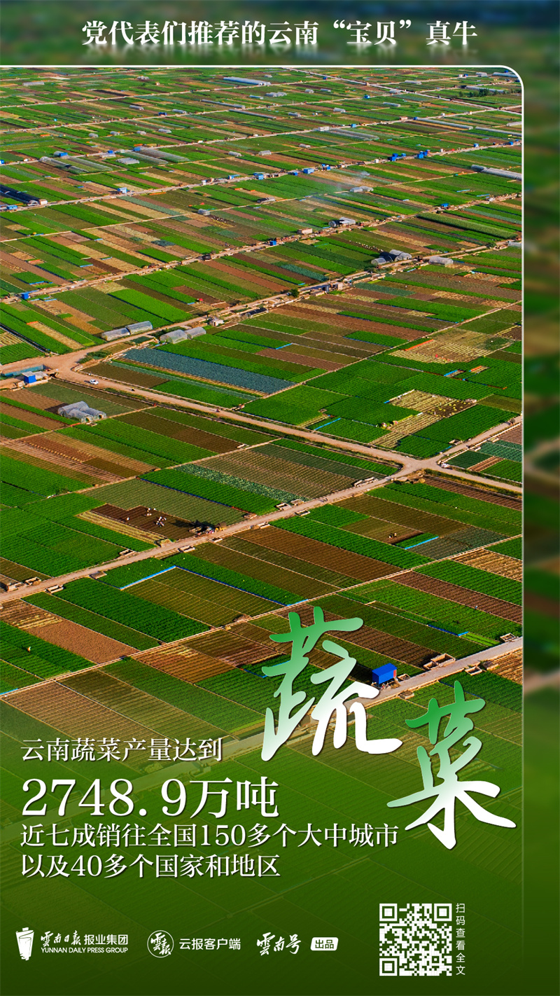 code_ynrb8e2505cd-e11f-4a5a-a5a1-7d501937e9f9