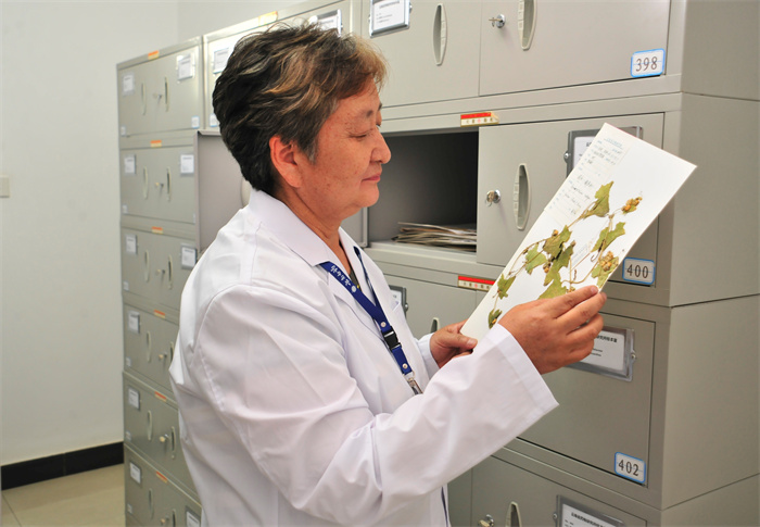 二十大代表、云南白藥集團(tuán)股份有限公司中藥研發(fā)總監(jiān)、中國工程院院士朱兆云