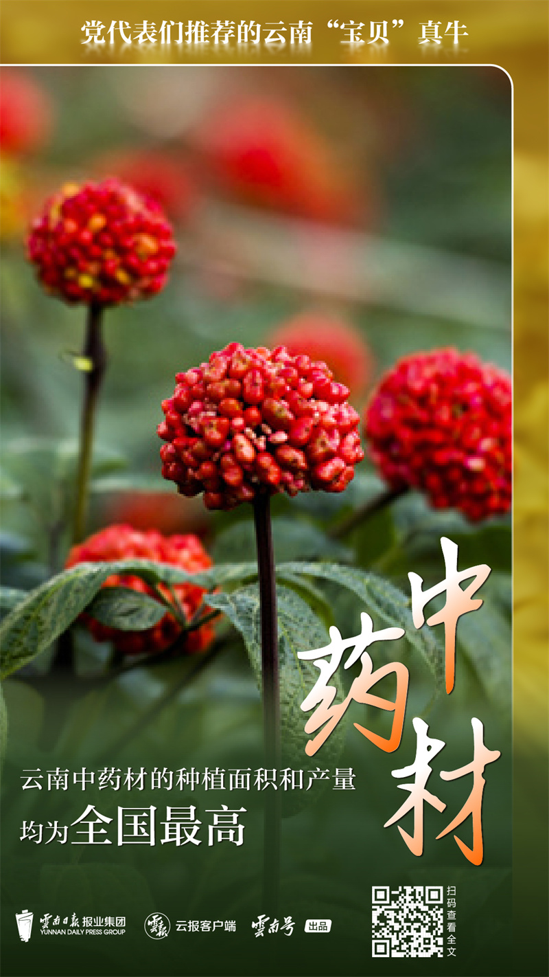 code_ynrb61c7af81-da73-4379-9170-90fbd9bfed98