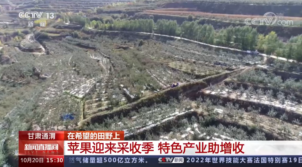 企業(yè)微信截圖_16663380019470