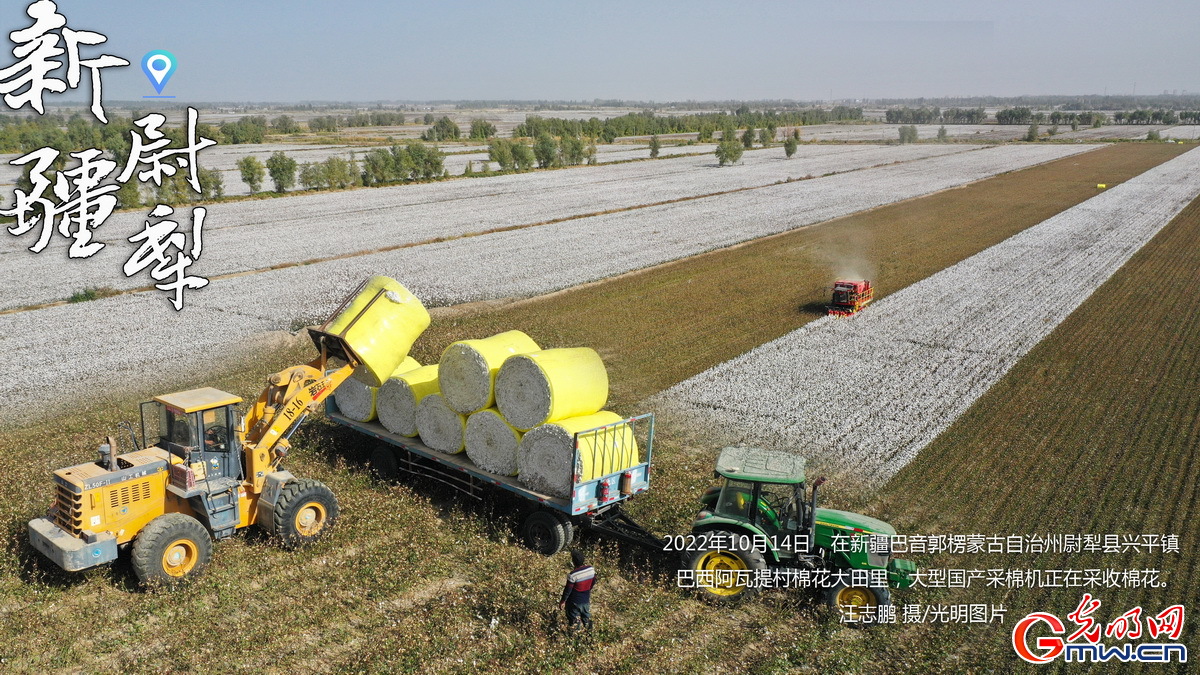 海報(bào)丨機(jī)采率達(dá)80% 7000余臺(tái)采棉機(jī)助力新疆棉花機(jī)械化采收