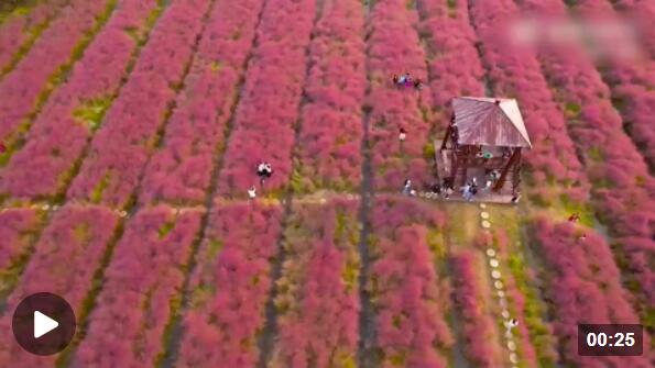 QQ截圖20221021180105