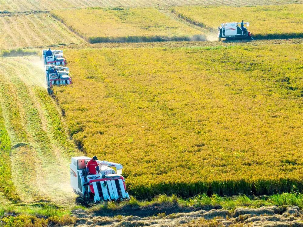 1129072790_16662630185151n 1129072790_16662630185151n