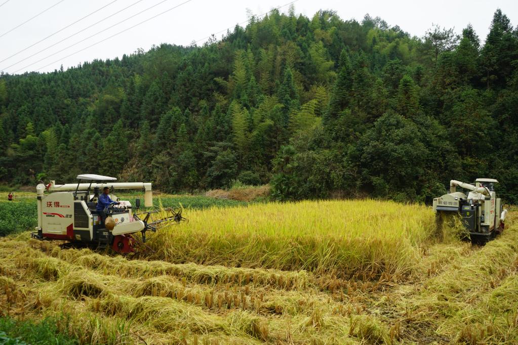 1129072790_16662630342771n 1129072790_16662630342771n