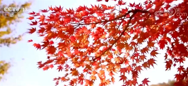 2022102117280090082 2022102117280090082