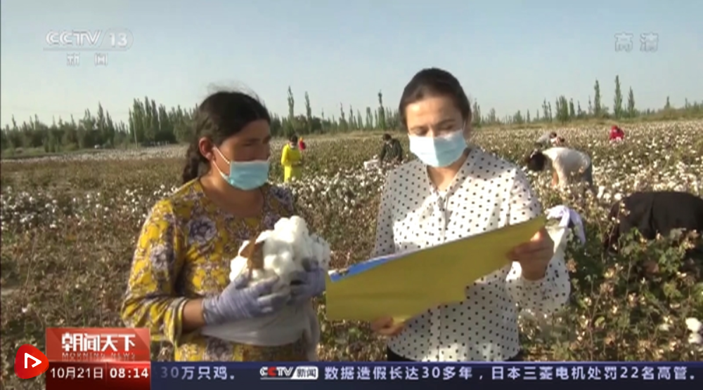 微信截圖_20221022132601