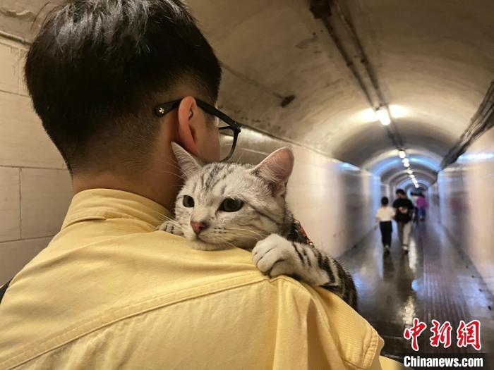 圖為張瑜軒在貴陽工作之余，常會帶著家里的寵物一起出游?！∈茉L者供圖