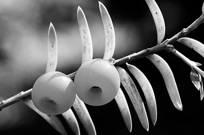 霜降:繁霜起處米谷滿倉 霜降:繁霜起處米谷滿倉