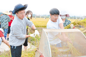 50551666638674423 50551666638674423