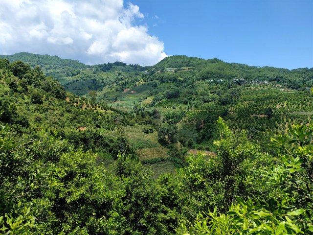 2022.10.6 堅(jiān)果林.jpg