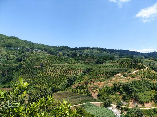 2022.10.6 成片的堅(jiān)果.jpg