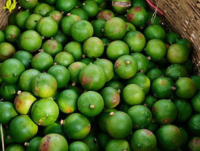 2022.10.6 堅(jiān)果裝籃.jpg