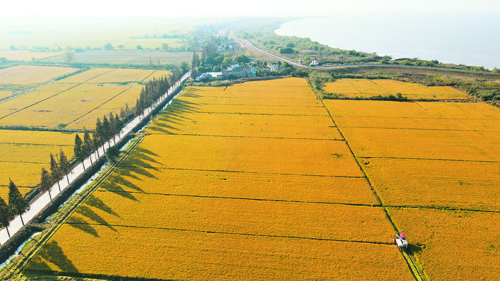 750b343d-df0b-427e-86bf-8a7f8515e2d3