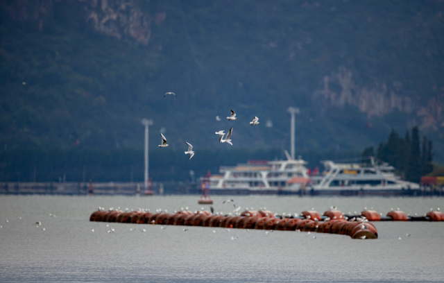 圖源：都市時報